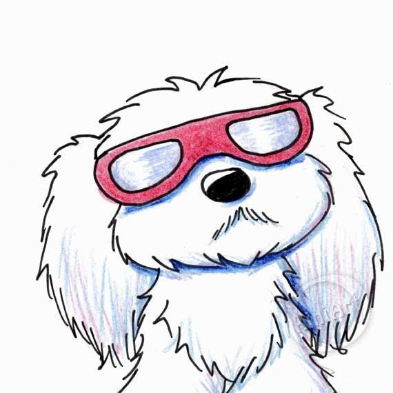 570x570 mini kini original maltese dog art maltese dog