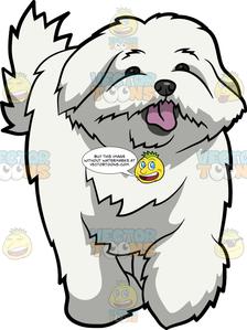 224x299 An Adorable Maltese Dog Clipart Cartoons