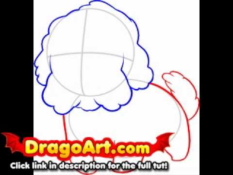 480x360 How To Draw A Maltese, Step