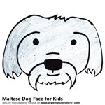 150x150 Learn How To Draw A Maltese Dog Face For Kids