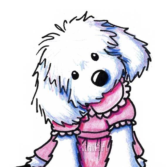 570x570 Matted Original Art Maltese Dog Aceo Illustration Drawing