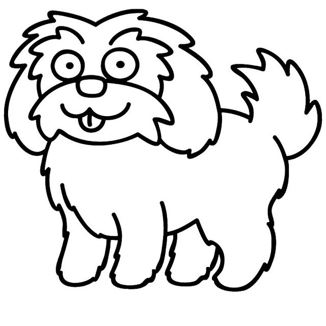 640x640 Maltese Drawing Shitzu For Free Download