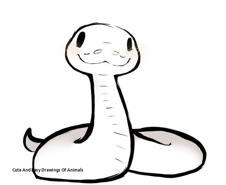 736x602 Cute And Easy Drawings Of Animals Best Cute Drawings Images