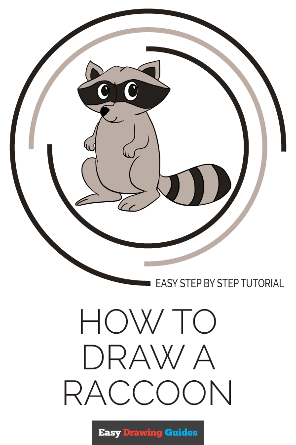 600x900 How To Draw A Raccoon
