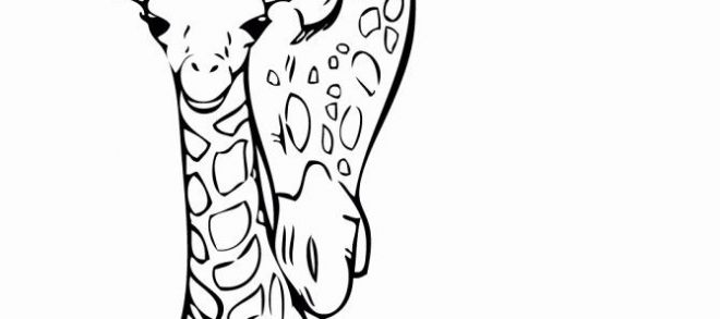 660x293 Drawing Animals Book And Zoo Animals Coloring Sheet Mammals