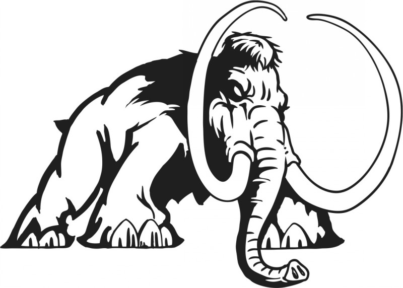 Mammoth Drawing
