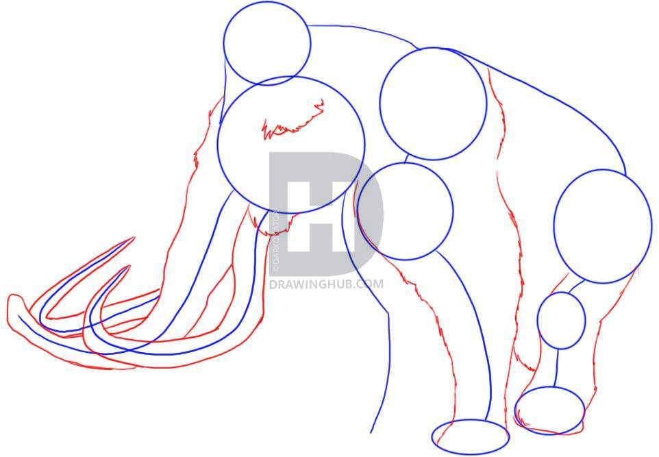 962x667 how to draw a woolly mammoth, step