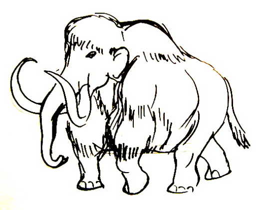 529x421 how to draw a mammoth step