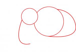 302x208 how to draw how to draw a mammoth