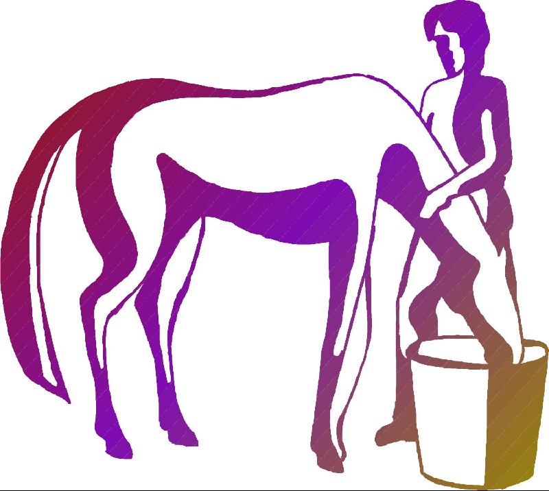 800x716 Safer New Auction Horses