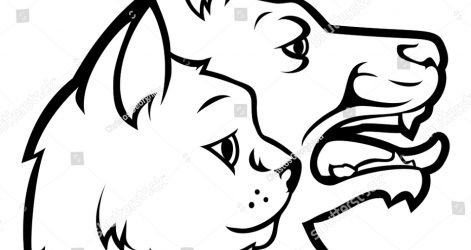 471x250 Cat And Dog Outline Drawing Cute Pencil Drawings Mix Anime Man Kid