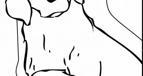 471x250 Dog And Cat Pencil Drawings Cartoon A Drawing Together Outline