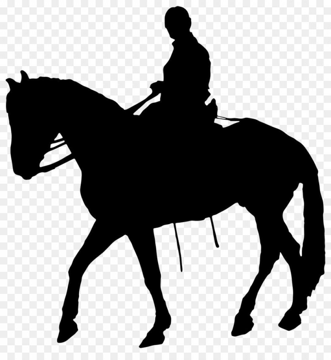 1080x1176 Western Horse Vector Art Soidergi