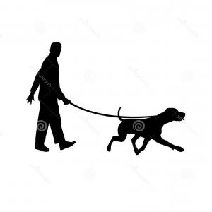 300x300 Stock Illustration People Old Man Walking Dog Cartoon Drawing