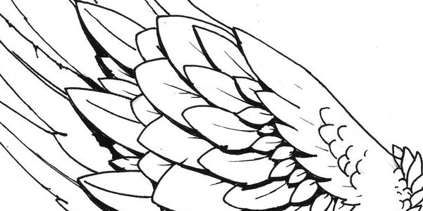 600x300 Wing Tattoo Designs