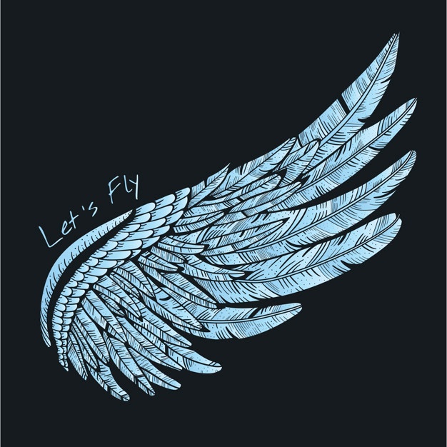 626x626 Wings Vectors, Photos And Free Download