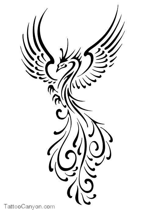 489x692 Phoenix Henna