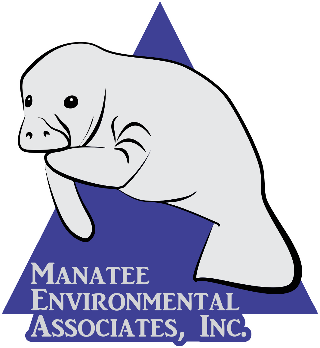 1064x1154 Collection Of Free Manatee Drawing Christmas Download On Ui Ex