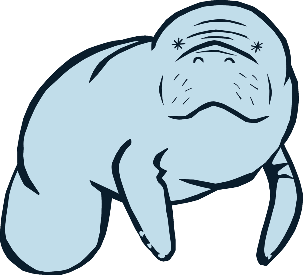 1000x908 Collection Of Free Manatee Drawing Kid Download On Ui Ex