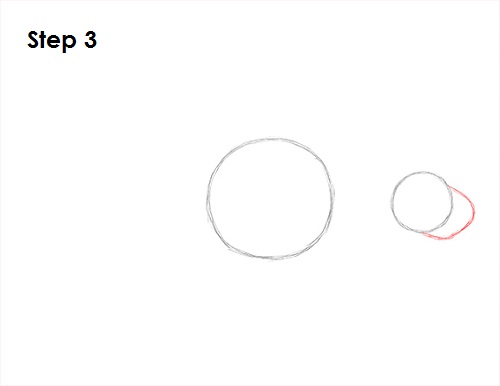 500x386 How To Draw A Manatee