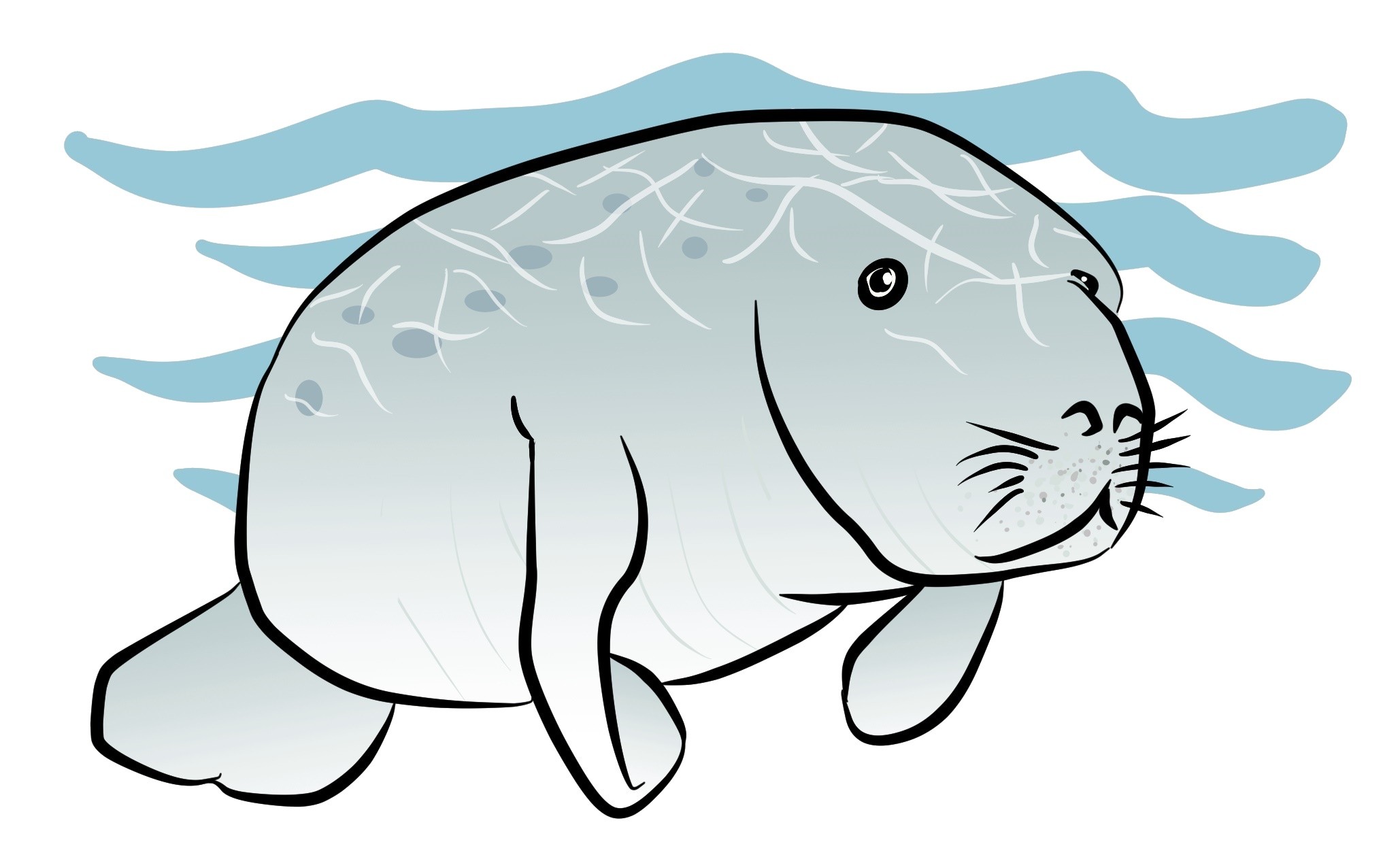 2058x1257 Inspirational Pencil Drawings Of Baby Animals