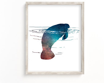 340x270 Manatee Artwork Etsy