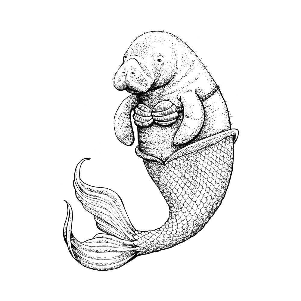 1000x1000 The Little Manatee Habby Art