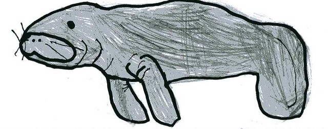 640x252 Manatee Drawing Drawn