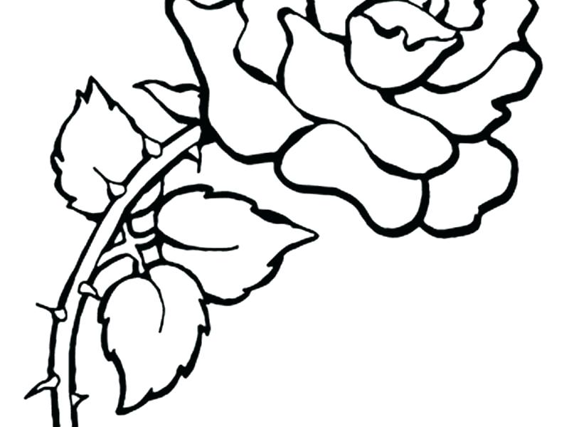 800x600 Flower Mandala Coloring Pages Pdf Printable Free Sheets State