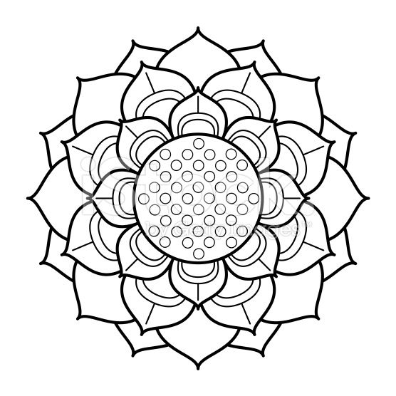 556x556 Drawing Of A Lotus Flower In A Circular, Mandala Form In Black