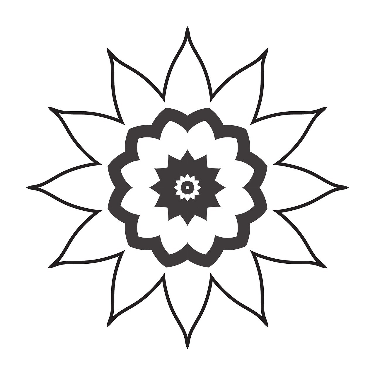 1280x1280 Flower Drawing Images Free