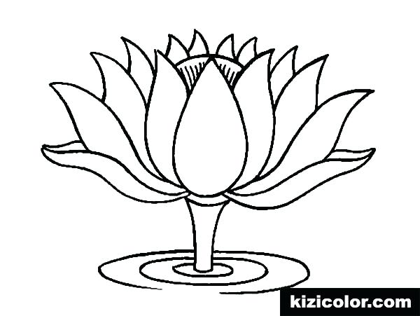 600x451 Lotus Flower Coloring