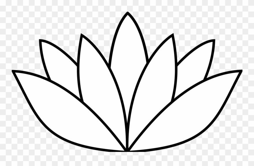 880x577 Lotus Flower Drawing Billedgalleri