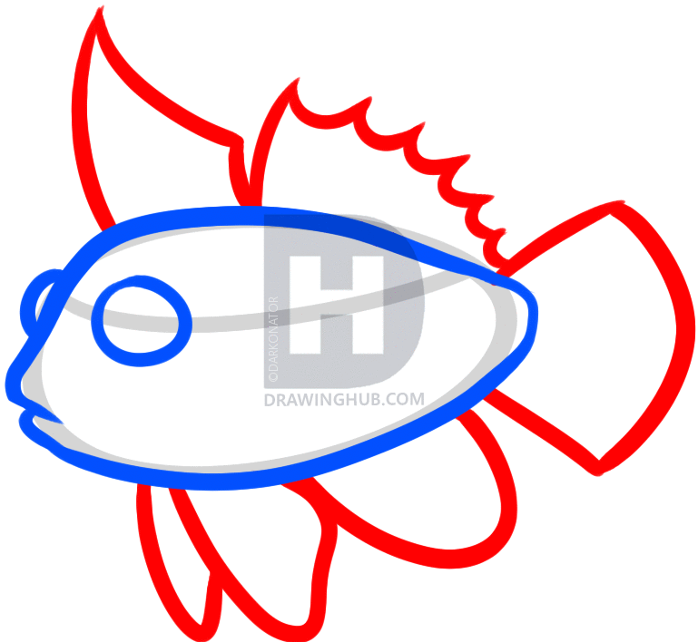 769x708 how to draw a mandarin, mandarin fish, step