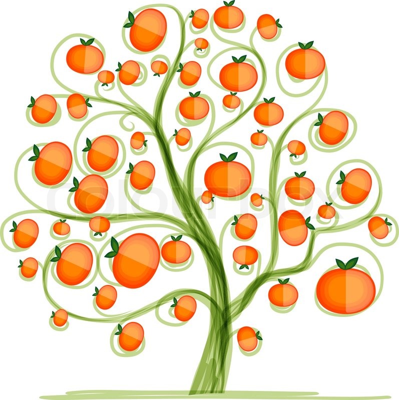 797x800 mandarin tree for your design vector stock vector colourbox