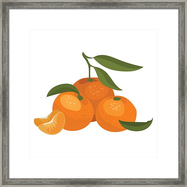 600x600 cartoon illustration of a mandarin vector illustration of oranges