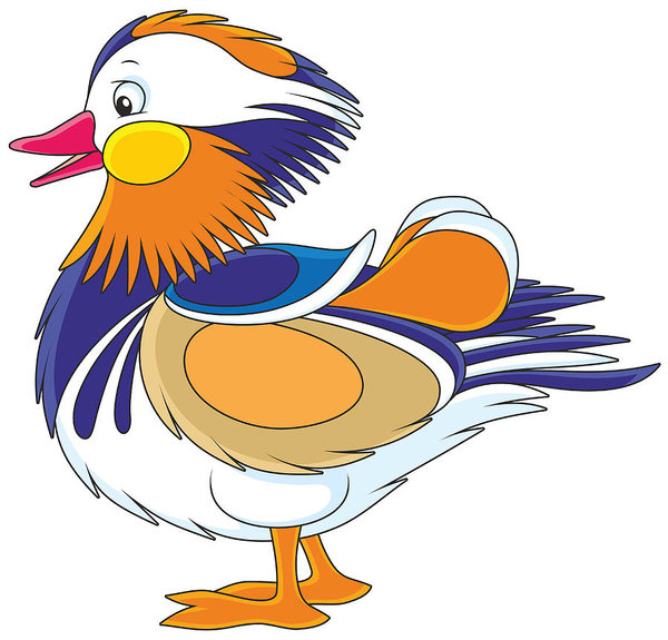 600x575 motley mandarin duck art print