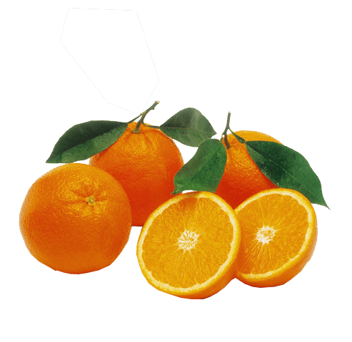 493x480 Collection Of Free Orange Drawing Background Download On Ui Ex