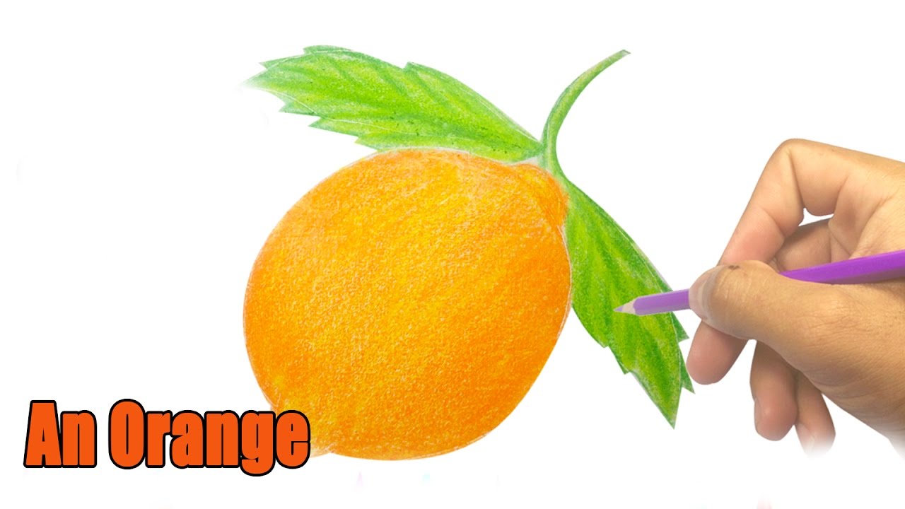 1280x720 How To Draw An Orange