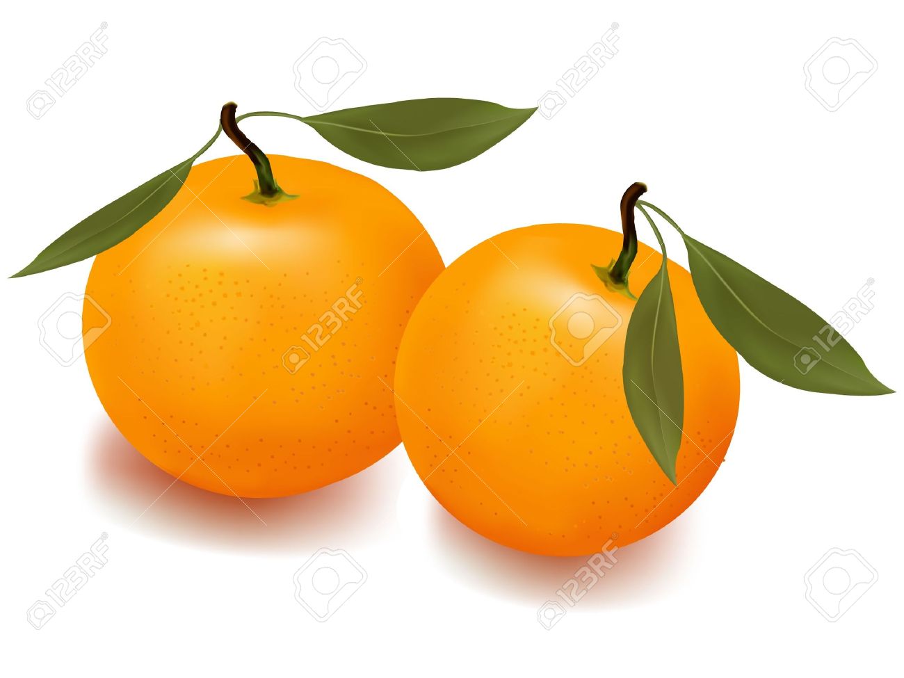 1300x975 Mandarin Orange Clipart