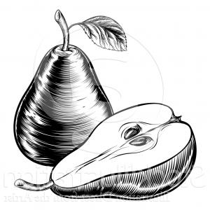 300x300 png lemon mandarin orange fruit clip art pear pear vec soidergi