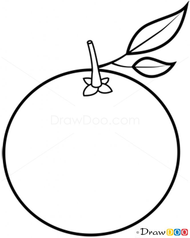 665x831 Orange Drawing Dalandan For Free Download