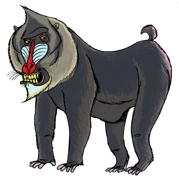 595x595 Look What I Drawed July