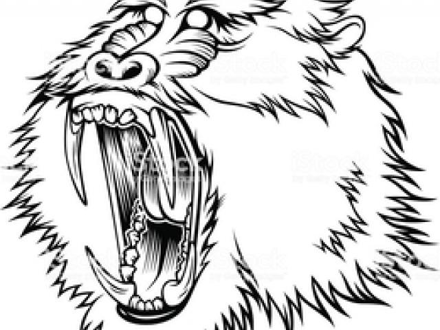 640x480 Mandrill Clipart Vector