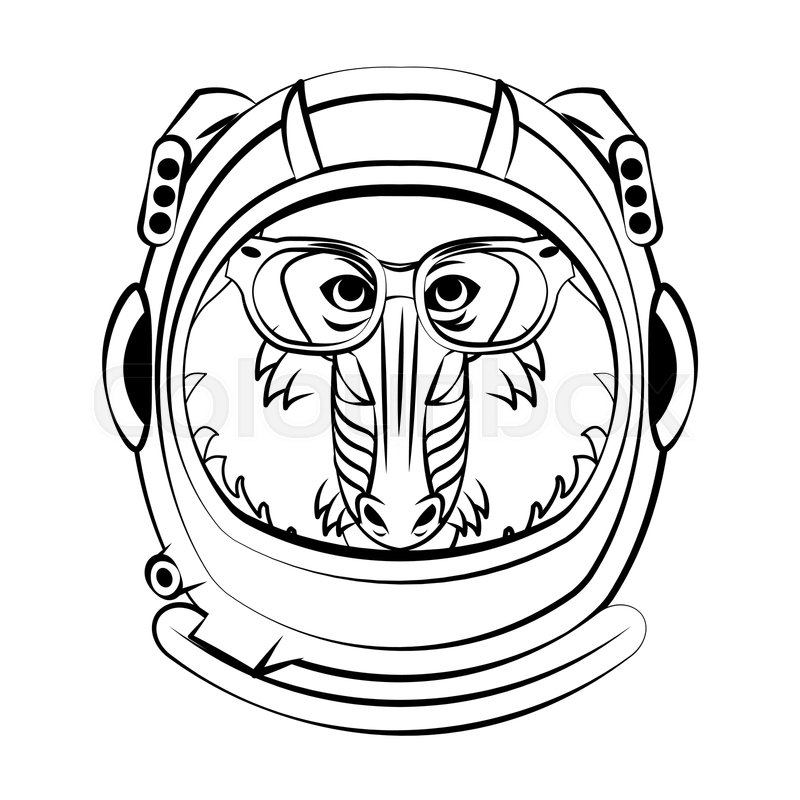 800x800 Mandrill Inside Astronaut Helmet In Stock Vector Colourbox