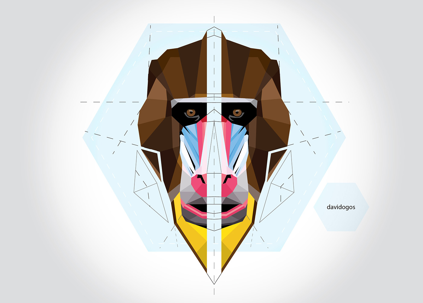 1400x1004 Mandrill Project On Behance