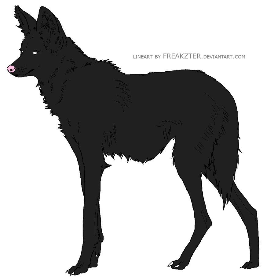 874x914 Maned Wolf Wolves Maned Wolf, Wolf, Moose Art