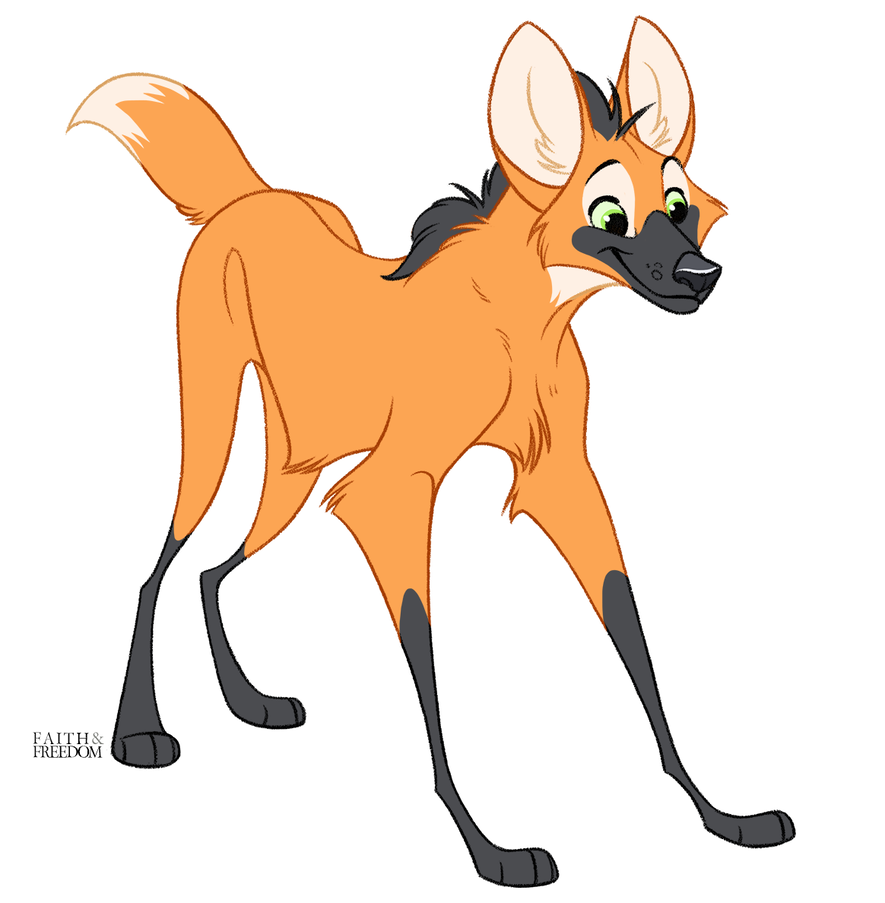 885x903 Maned Wolf
