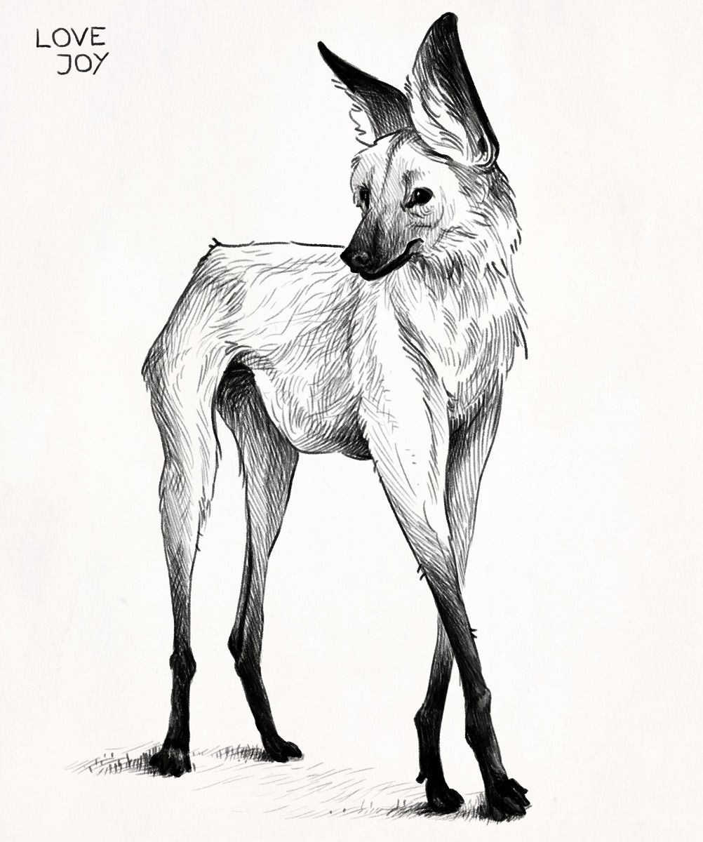 1002x1200 World Building In Drawings, Art