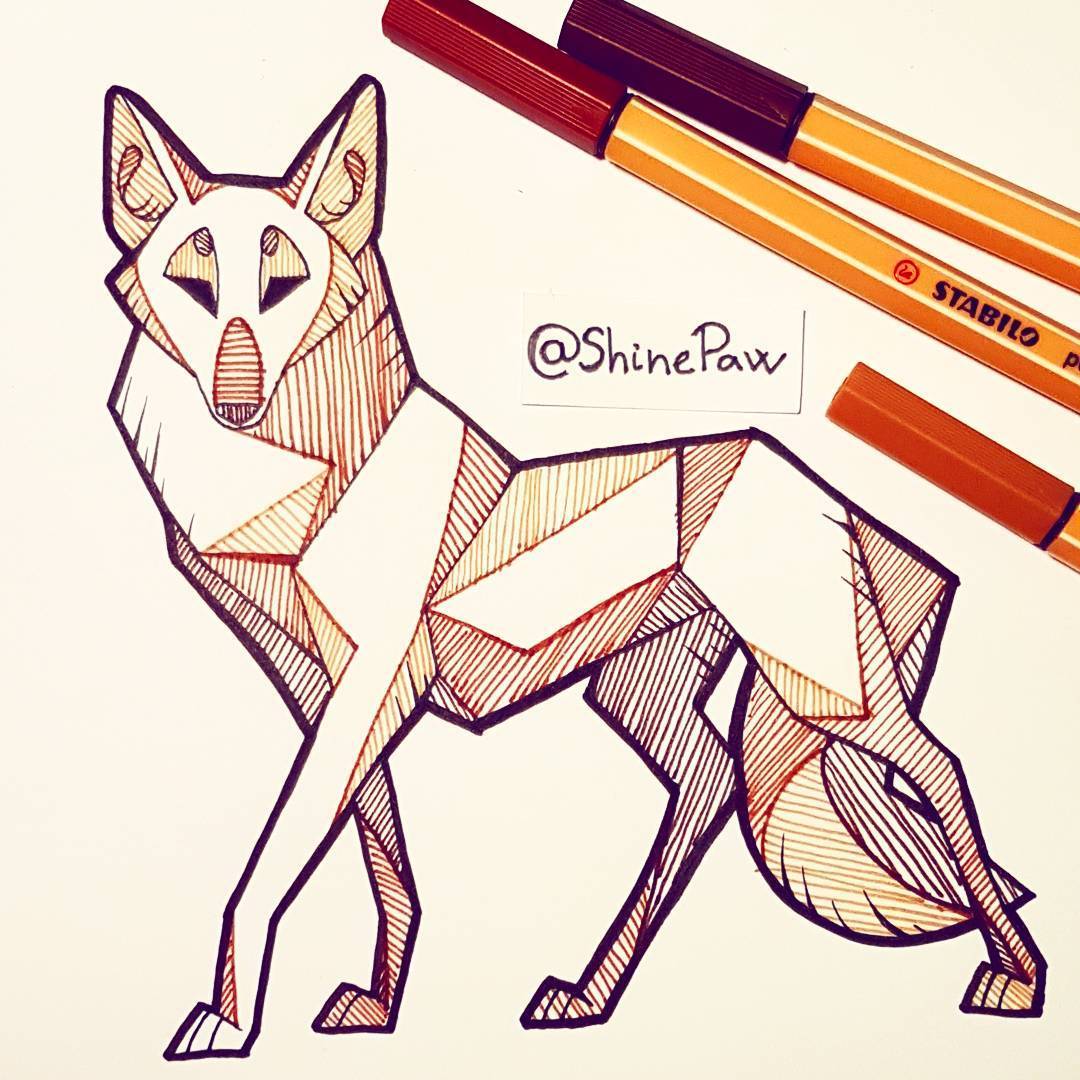 1080x1080 Maned Wolf Art Tumblr